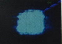 Global B2B directory Global trade lead